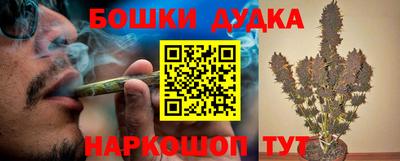 МДПВ Пенза
