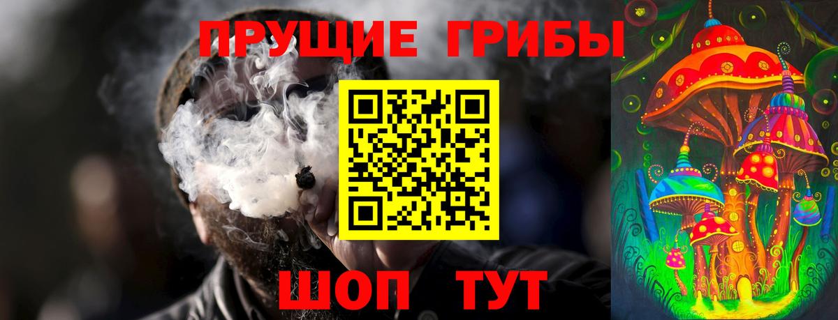 Псилоцибиновые грибы Cubensis  Галлюциногенные грибы мицелий  Вход с VPN  Белгород 