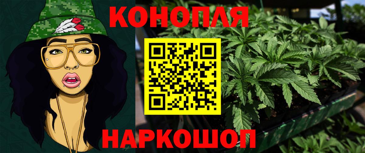 Шишки марихуана план Белгород